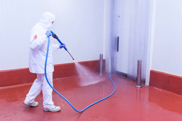 Best House Exterior Washing  in Ridgecrest, CA